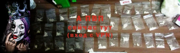 PSILOCYBIN Белоозёрский