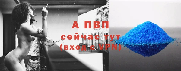 трава Беломорск