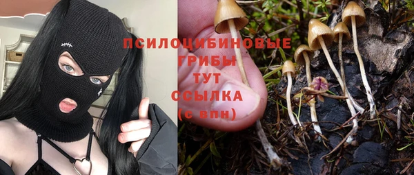 трава Беломорск