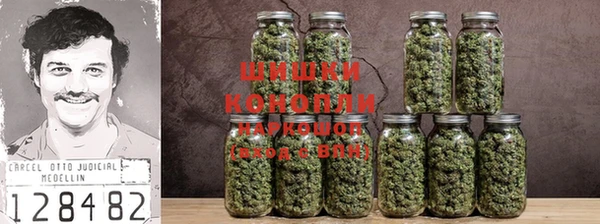 PSILOCYBIN Белоозёрский