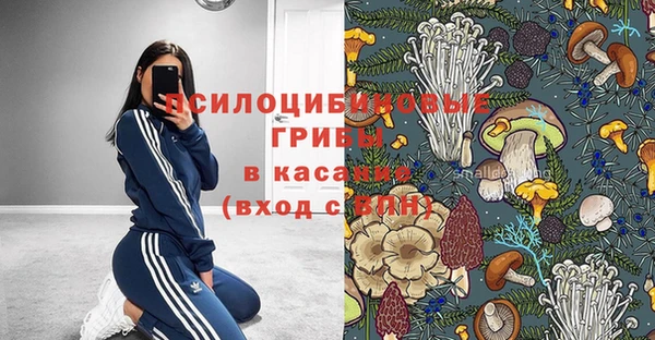 экстази Белокуриха
